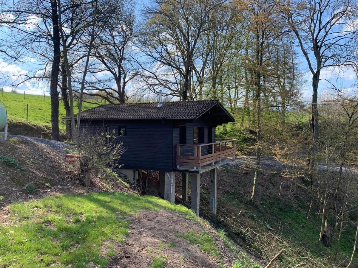 Gites Douillets : Chalet Sur Pilotis Houyet ภายนอก รูปภาพ